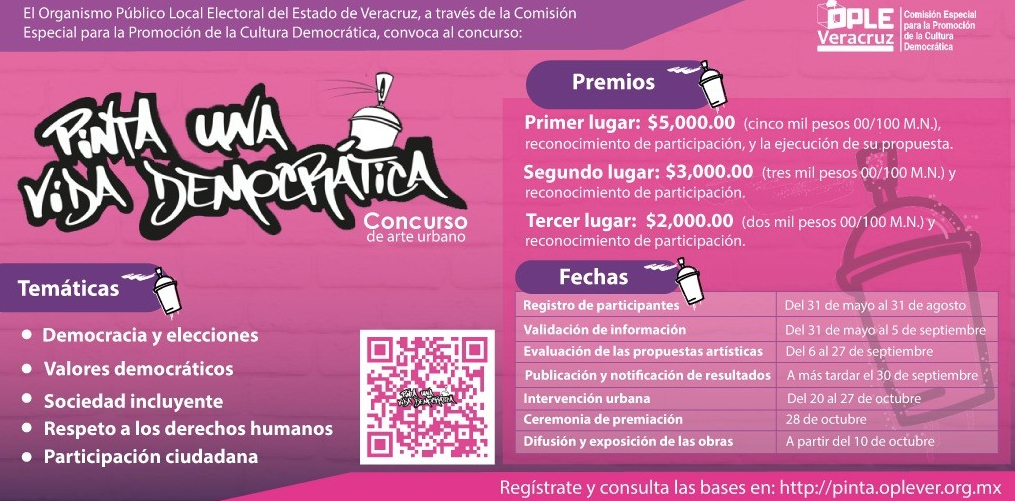 Artistas visuales: el OPLE Veracruz los invita a participar en el ...