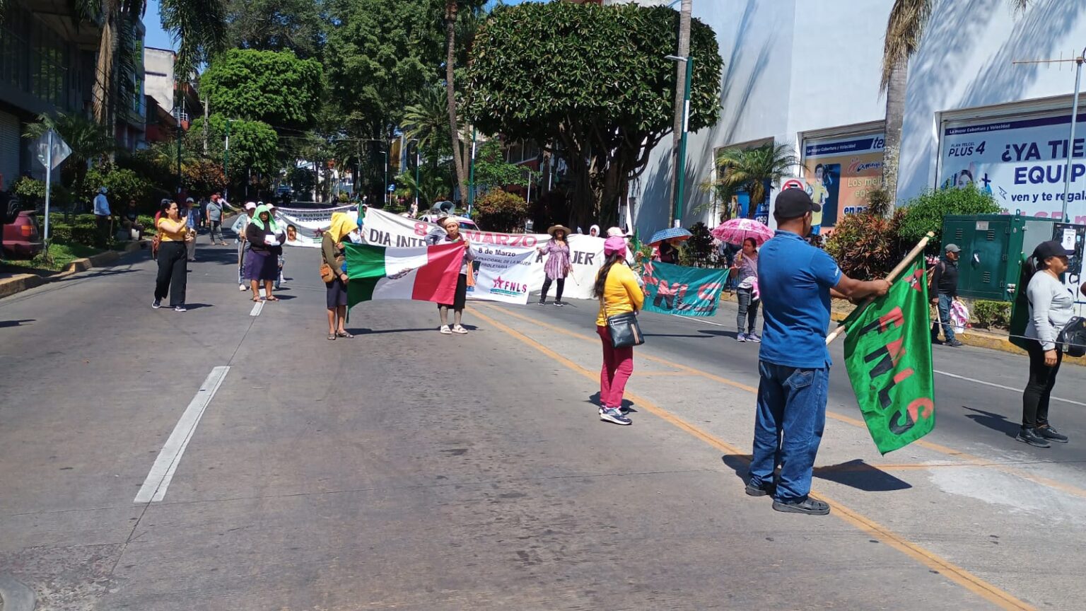 El FNLS realizó marcha para conmemorar el Día Internacional de la Mujer ...